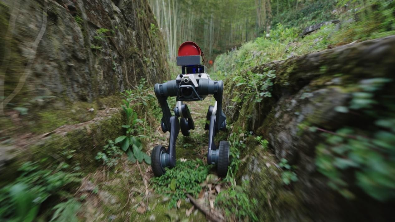 1751877239178436.jpg 图片4.jpg